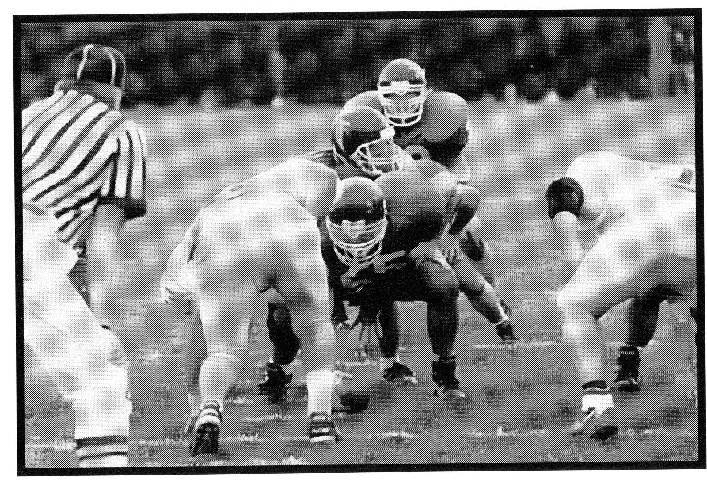 Bentley Football Team, 1995
