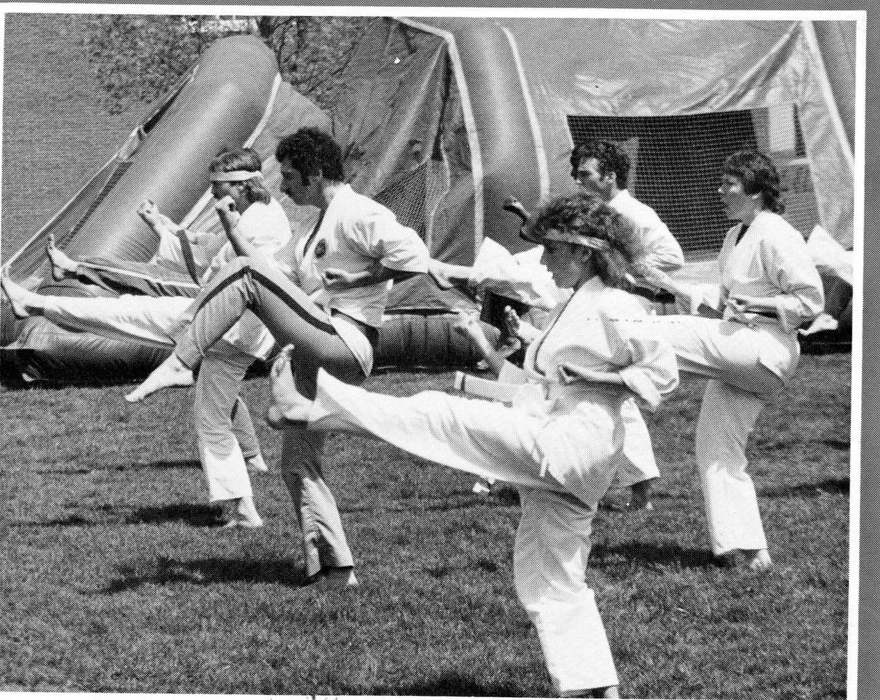 Martial Arts, 1985