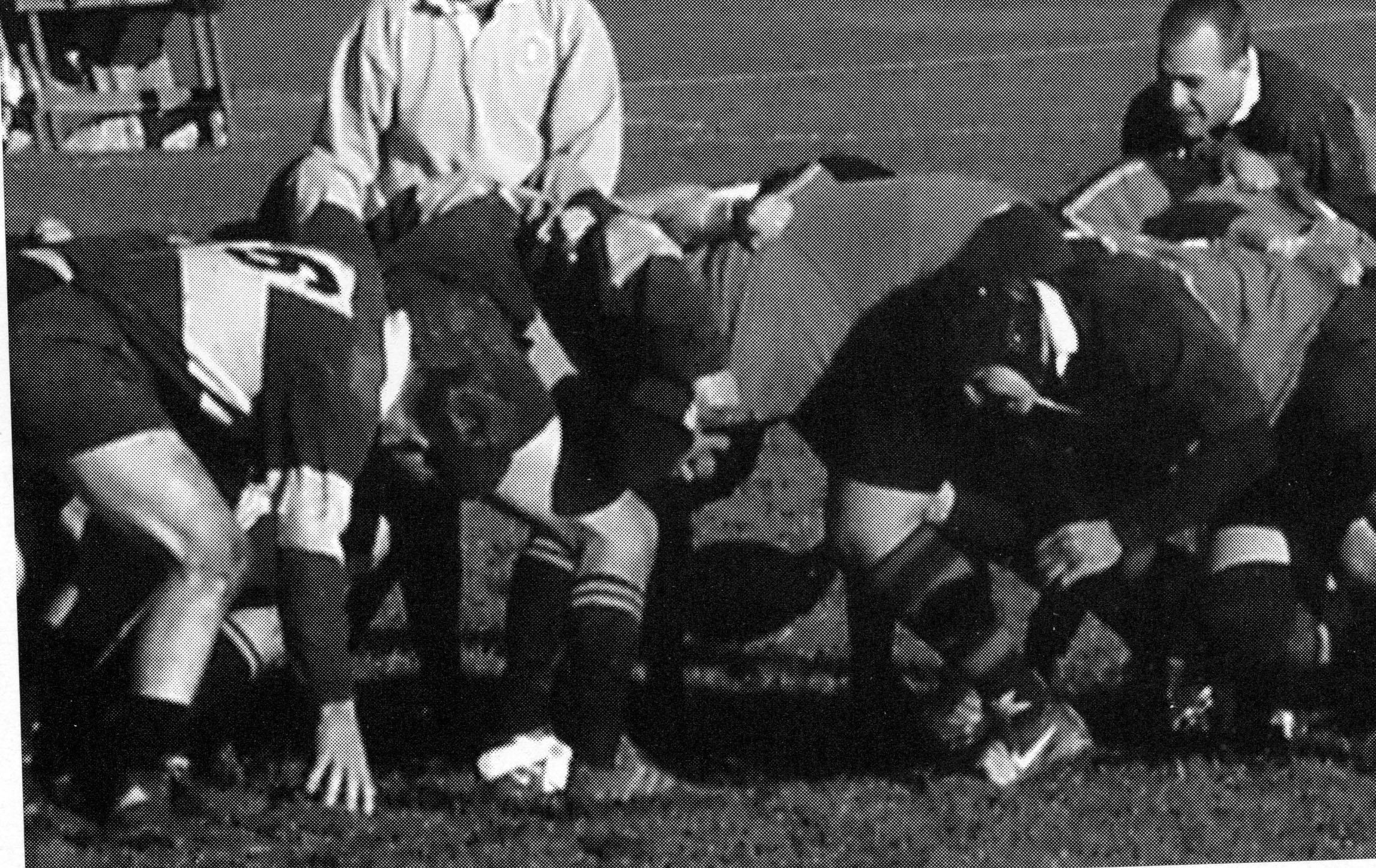 Rugby match, 2005